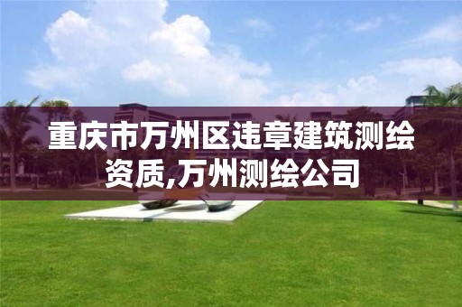 重慶市萬州區違章建筑測繪資質,萬州測繪公司