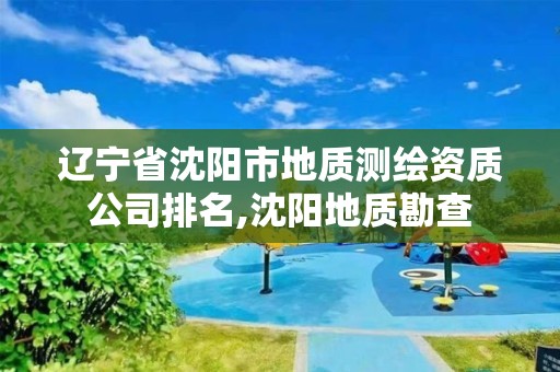 遼寧省沈陽市地質(zhì)測繪資質(zhì)公司排名,沈陽地質(zhì)勘查