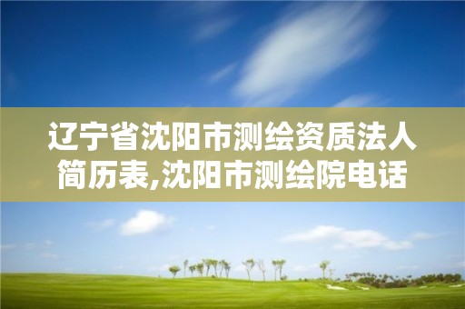 遼寧省沈陽市測繪資質法人簡歷表,沈陽市測繪院電話