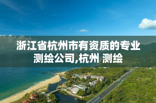 浙江省杭州市有資質的專業測繪公司,杭州 測繪