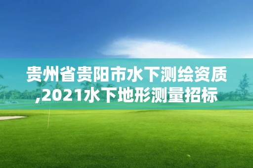 貴州省貴陽市水下測繪資質,2021水下地形測量招標