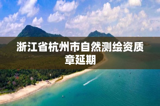 浙江省杭州市自然測繪資質章延期