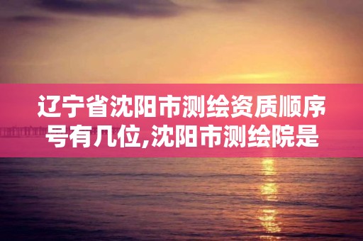 遼寧省沈陽市測繪資質順序號有幾位,沈陽市測繪院是什么單位