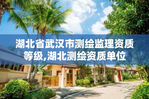 湖北省武漢市測繪監理資質等級,湖北測繪資質單位