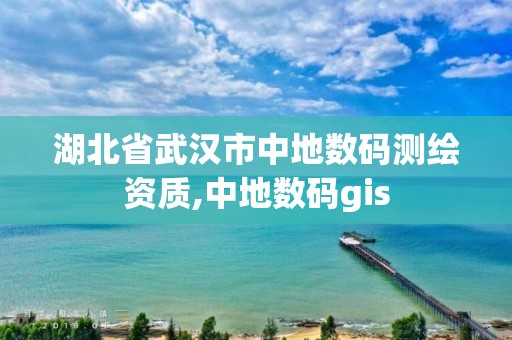 湖北省武漢市中地數碼測繪資質,中地數碼gis