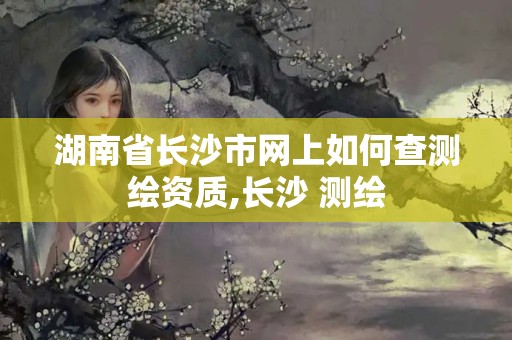 湖南省長沙市網上如何查測繪資質,長沙 測繪