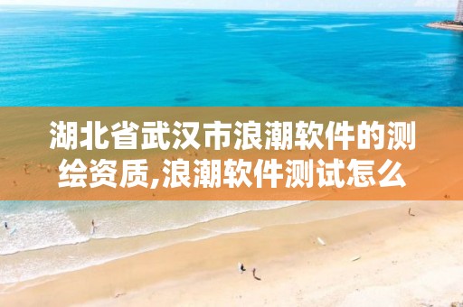 湖北省武漢市浪潮軟件的測繪資質(zhì),浪潮軟件測試怎么樣