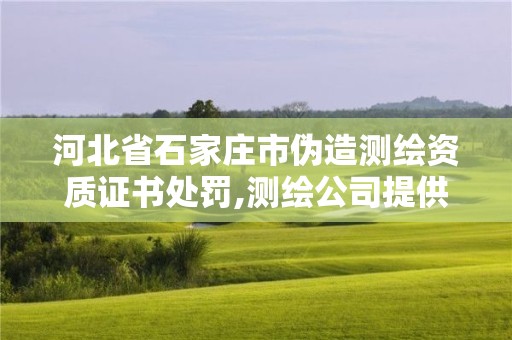 河北省石家莊市偽造測繪資質(zhì)證書處罰,測繪公司提供虛假測繪報告