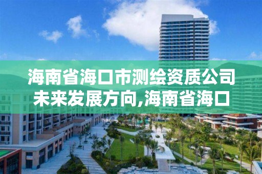 海南省海口市測繪資質公司未來發展方向,海南省海口市測繪資質公司未來發展方向有哪些。