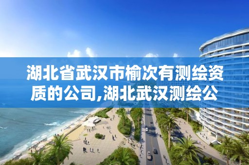 湖北省武漢市榆次有測繪資質(zhì)的公司,湖北武漢測繪公司排行榜