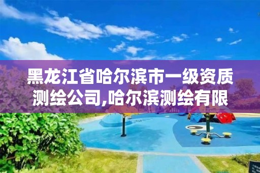 黑龍江省哈爾濱市一級資質(zhì)測繪公司,哈爾濱測繪有限公司