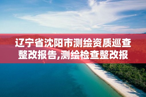 遼寧省沈陽市測繪資質巡查整改報告,測繪檢查整改報告