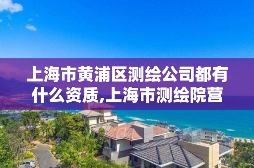 上海市黃浦區(qū)測繪公司都有什么資質(zhì),上海市測繪院營業(yè)時間