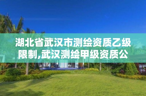 湖北省武漢市測繪資質(zhì)乙級限制,武漢測繪甲級資質(zhì)公司