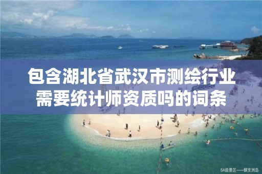 包含湖北省武漢市測繪行業需要統計師資質嗎的詞條