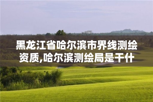 黑龍江省哈爾濱市界線測繪資質,哈爾濱測繪局是干什么的