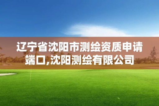 遼寧省沈陽市測繪資質申請端口,沈陽測繪有限公司