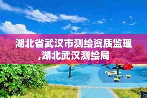 湖北省武漢市測繪資質監理,湖北武漢測繪局