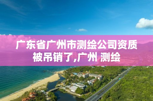 廣東省廣州市測繪公司資質被吊銷了,廣州 測繪