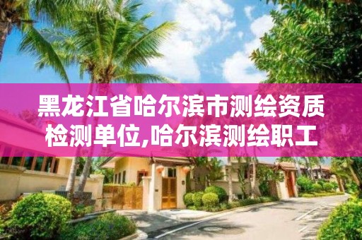 黑龍江省哈爾濱市測繪資質(zhì)檢測單位,哈爾濱測繪職工中等專業(yè)學(xué)校