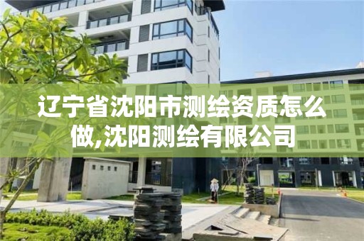 遼寧省沈陽市測繪資質怎么做,沈陽測繪有限公司