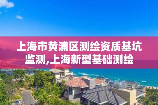 上海市黃浦區測繪資質基坑監測,上海新型基礎測繪