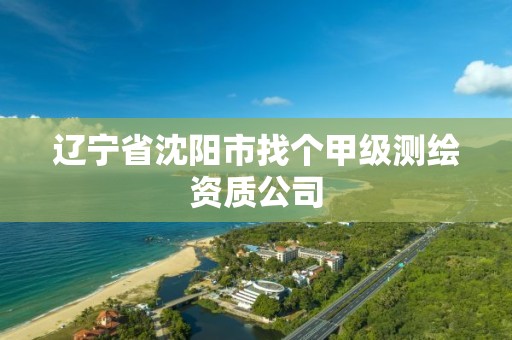 遼寧省沈陽市找個甲級測繪資質公司