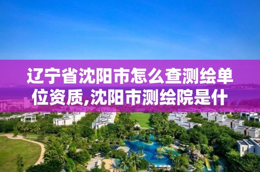 遼寧省沈陽市怎么查測繪單位資質(zhì),沈陽市測繪院是什么單位