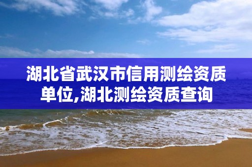 湖北省武漢市信用測繪資質單位,湖北測繪資質查詢