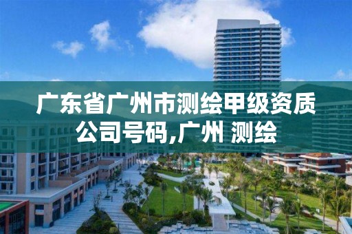 廣東省廣州市測繪甲級資質公司號碼,廣州 測繪