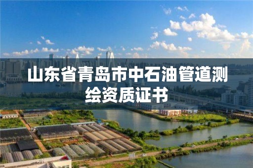 山東省青島市中石油管道測繪資質證書