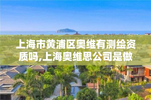 上海市黃浦區奧維有測繪資質嗎,上海奧維思公司是做什么的