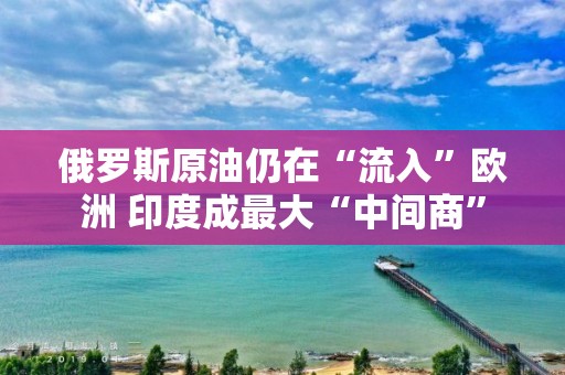 俄羅斯原油仍在“流入”歐洲 印度成最大“中間商”