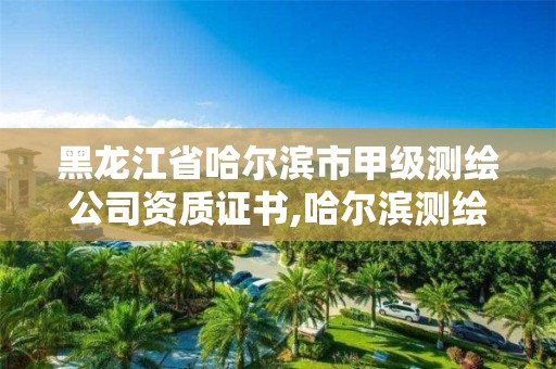 黑龍江省哈爾濱市甲級測繪公司資質證書,哈爾濱測繪公司有哪些。