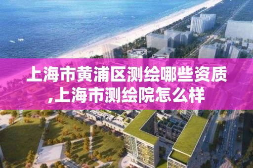 上海市黃浦區(qū)測繪哪些資質(zhì),上海市測繪院怎么樣