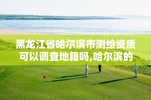 黑龍江省哈爾濱市測(cè)繪資質(zhì)可以調(diào)查地籍嗎,哈爾濱的測(cè)繪公司有哪些。