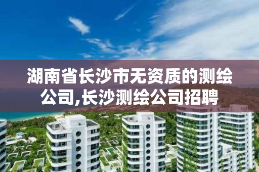 湖南省長沙市無資質的測繪公司,長沙測繪公司招聘