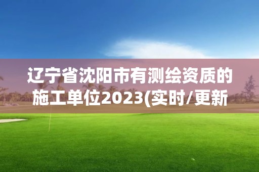 遼寧省沈陽市有測繪資質(zhì)的施工單位2023(實時/更新中)