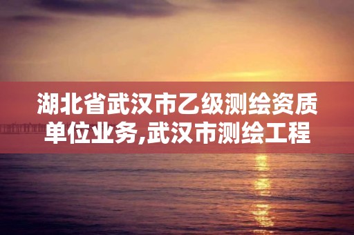 湖北省武漢市乙級測繪資質單位業務,武漢市測繪工程技術規定