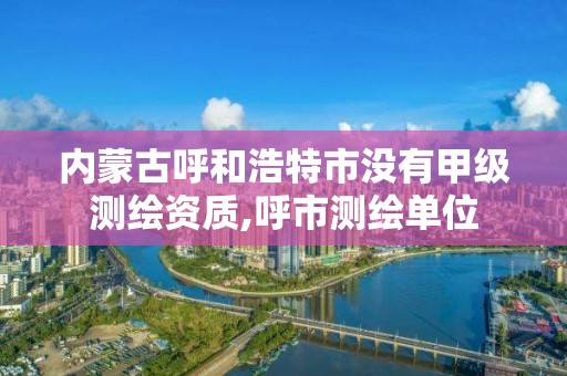 內(nèi)蒙古呼和浩特市沒有甲級測繪資質(zhì),呼市測繪單位