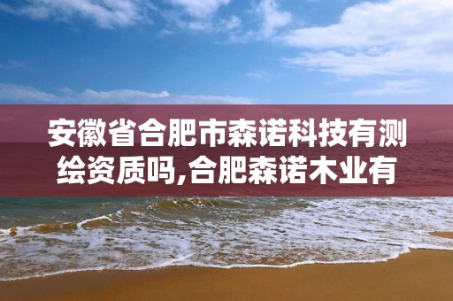 安徽省合肥市森諾科技有測繪資質嗎,合肥森諾木業有限公司