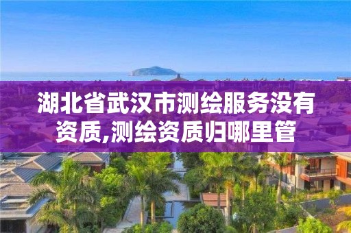 湖北省武漢市測繪服務沒有資質,測繪資質歸哪里管