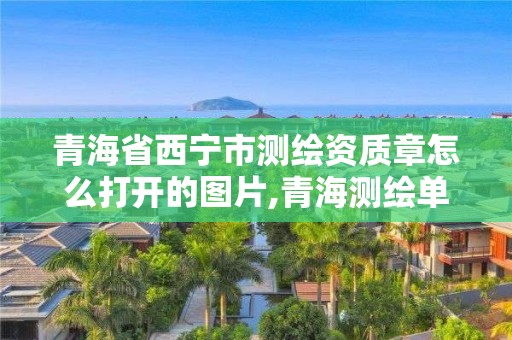 青海省西寧市測繪資質章怎么打開的圖片,青海測繪單位。