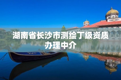 湖南省長沙市測繪丁級資質辦理中介