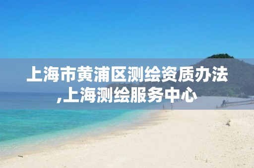 上海市黃浦區(qū)測繪資質(zhì)辦法,上海測繪服務(wù)中心