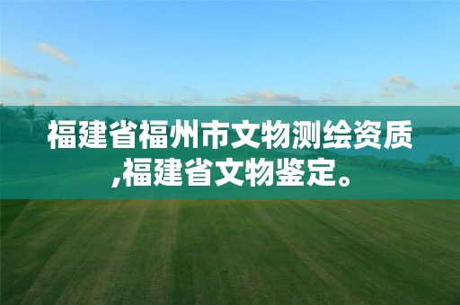 福建省福州市文物測繪資質(zhì),福建省文物鑒定。