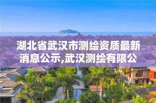 湖北省武漢市測繪資質最新消息公示,武漢測繪有限公司。