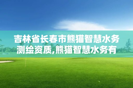 吉林省長春市熊貓智慧水務測繪資質(zhì),熊貓智慧水務有限公司武漢