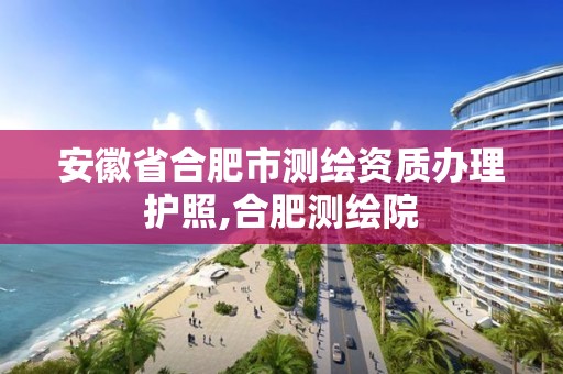 安徽省合肥市測繪資質辦理護照,合肥測繪院