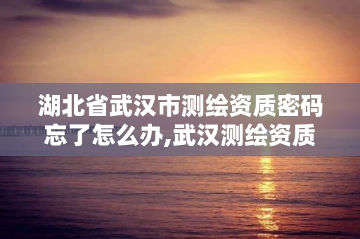 湖北省武漢市測繪資質密碼忘了怎么辦,武漢測繪資質代辦。